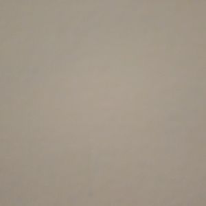 Meet your Posher, Ellen